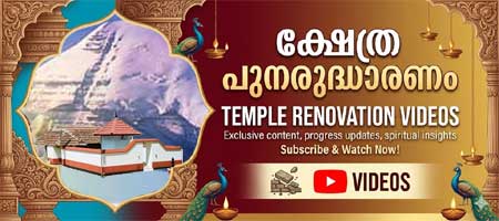 Temple Renoovation, Videos